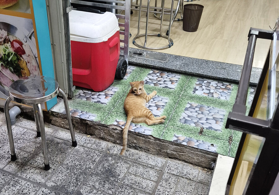 남편과 나트랑 여름 휴가 초스압_48.jpg