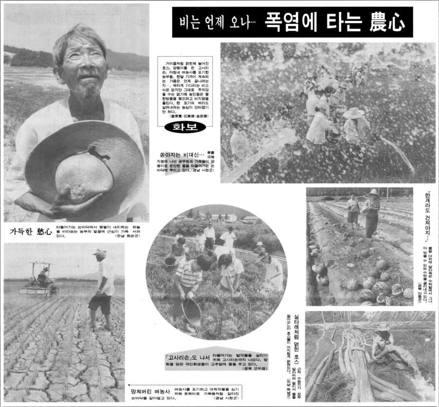 옛날신문) 아직도 전설로 회자되는 1994년 폭염 (1994.7.25 동아)_2.png