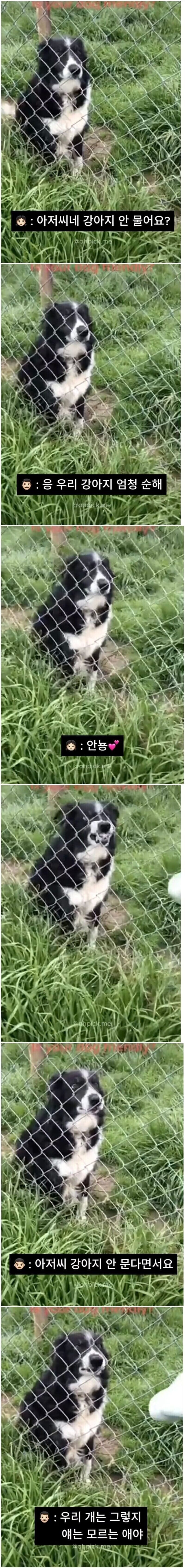 "아저씨네 강아지 안 물어요?"_1.jpg