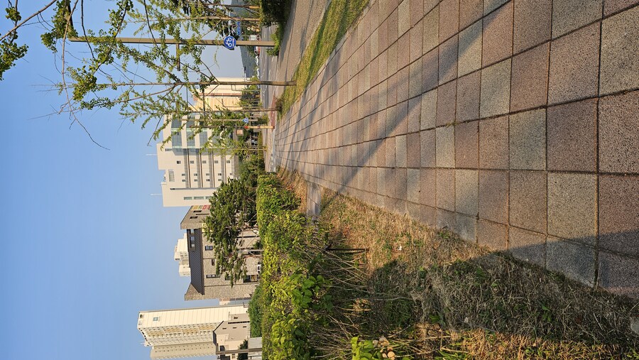 평소보다 한시간 일찍 출근중...._1.jpg