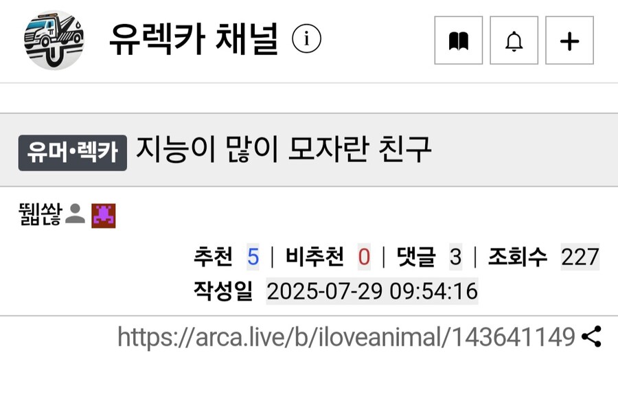 집에 못 들어가는 고양이.mp4_1.jpg