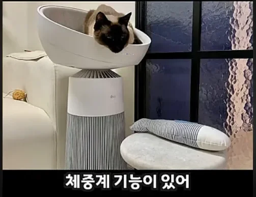 LG전자 근황.jpg_4.webp