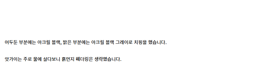 [건X 베이스] 고양점 MG 앗가이 제작기 (스크롤 주의)_64.jpg