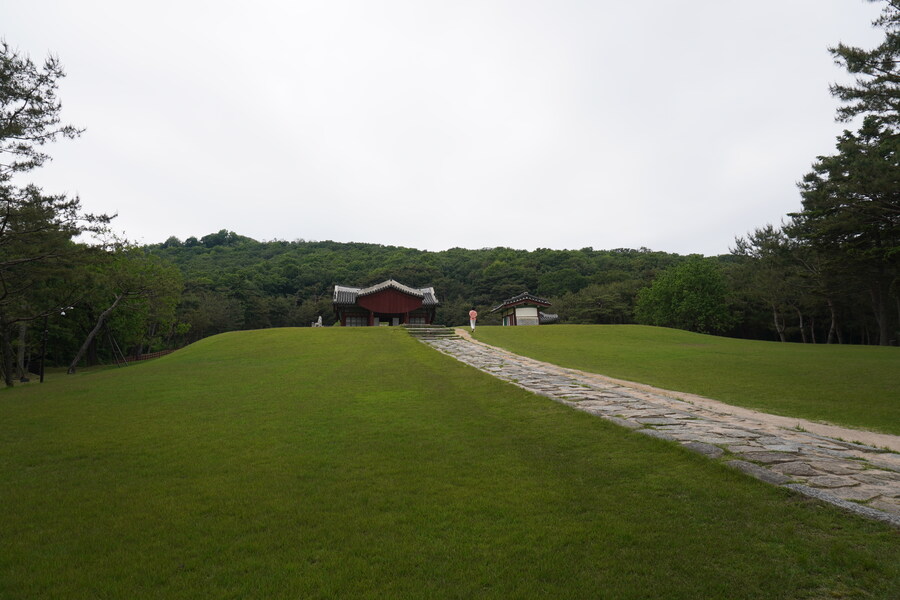 5월, 김포장릉 탐조_25.jpg