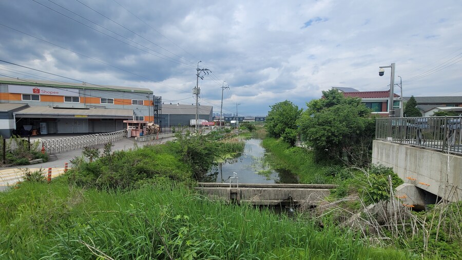 5월, 김포장릉 탐조_43.jpg