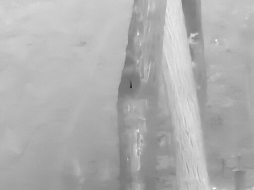 5월, 김포장릉 탐조_24.jpg