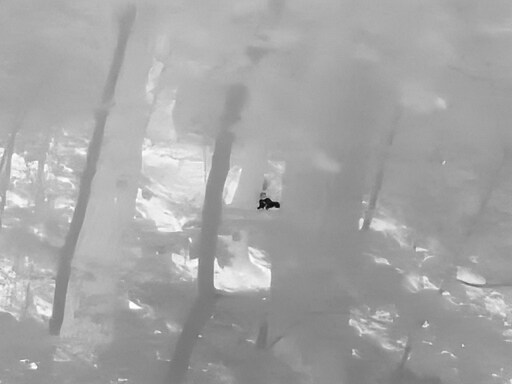 5월, 김포장릉 탐조_30.jpg