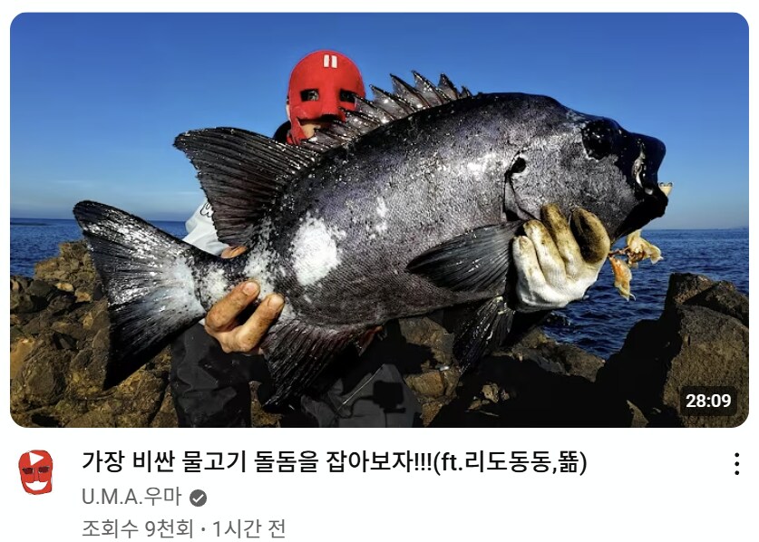 [유튜브] 빨간마스크 근황_1.png