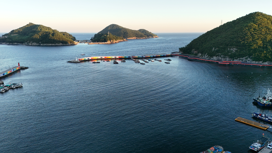 드론) 갈매기들한테 뇌물 줬다_1.webp