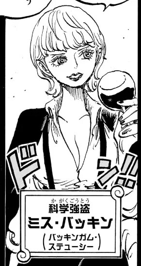 원피스 버킨이 추악하게 늙은 건_1.png