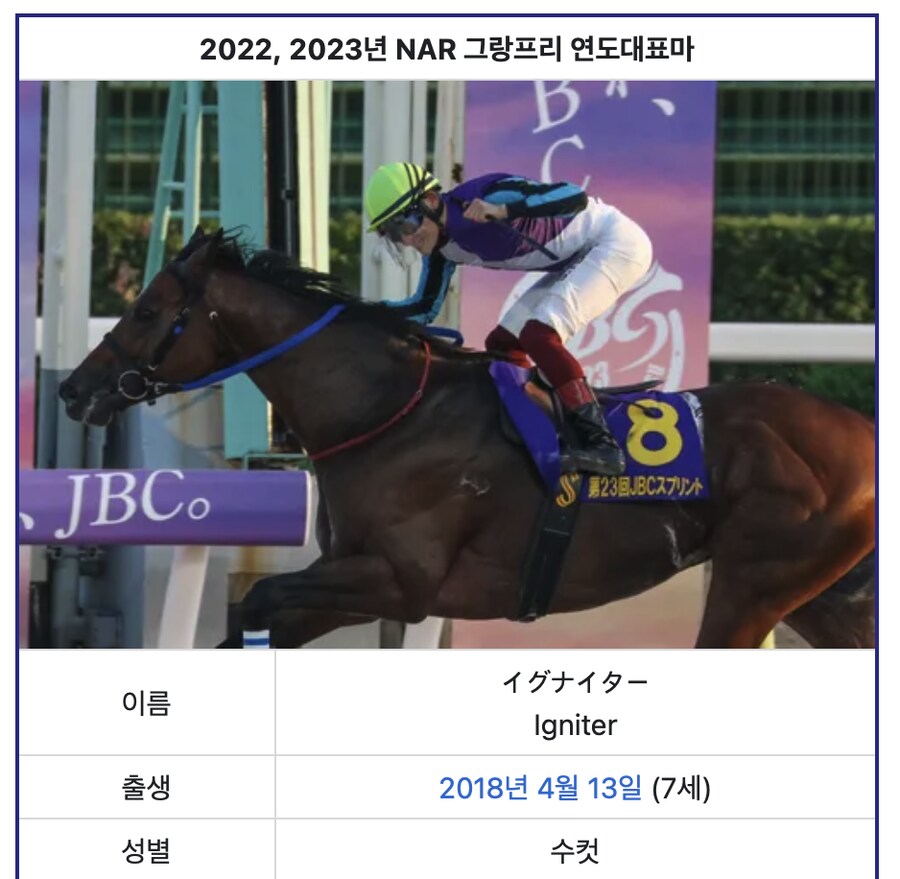 경마) 한국경마는 진짜로 일본에 비하면 ㅈ밥일까?_5.png