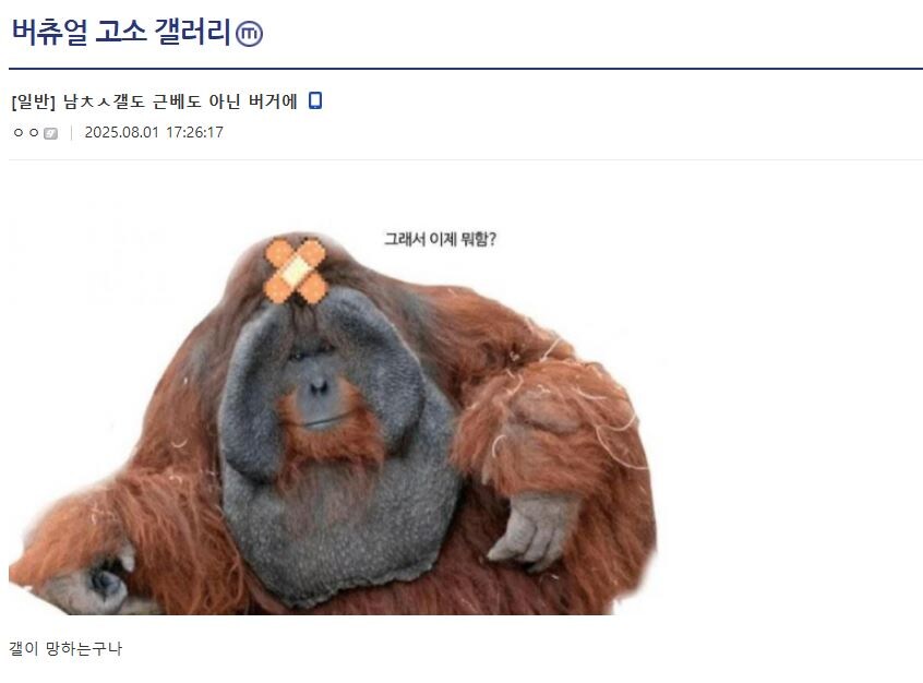 ㅇㅇㄱ)버고갤이 아니라 버거지들이었네_10.jpg