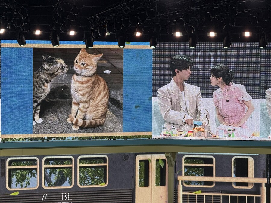 2025.08.01 박보검 서울 팬미팅 장면 따라하기_1.jpg