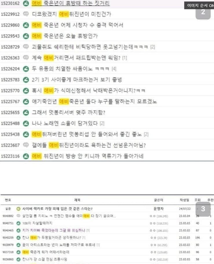 ㅇㅇㄱ)칸나 부모님 가게,sns 테러는 실존했는가?(장문)_12.jpg