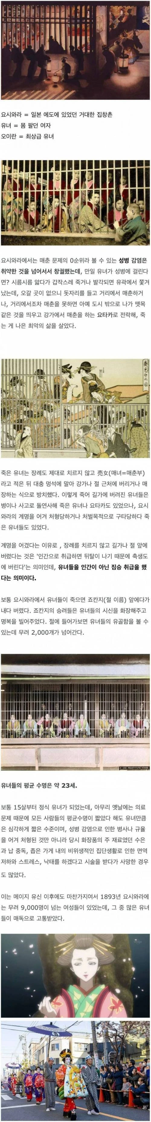 평균 수명 약 23세였던 일본 요시와라 유녀들.jpg_1.webp
