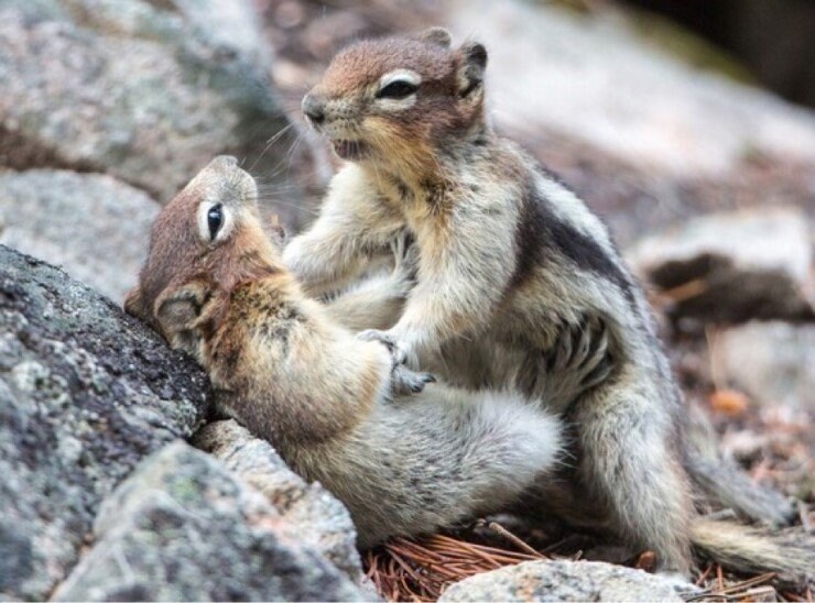 시....싫어어어엇 짝...짓기 시러어♥︎_1.jpg