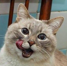 Mcu) 스파이더맨 팬덤은 악마임에 틀림없다._13.jpg