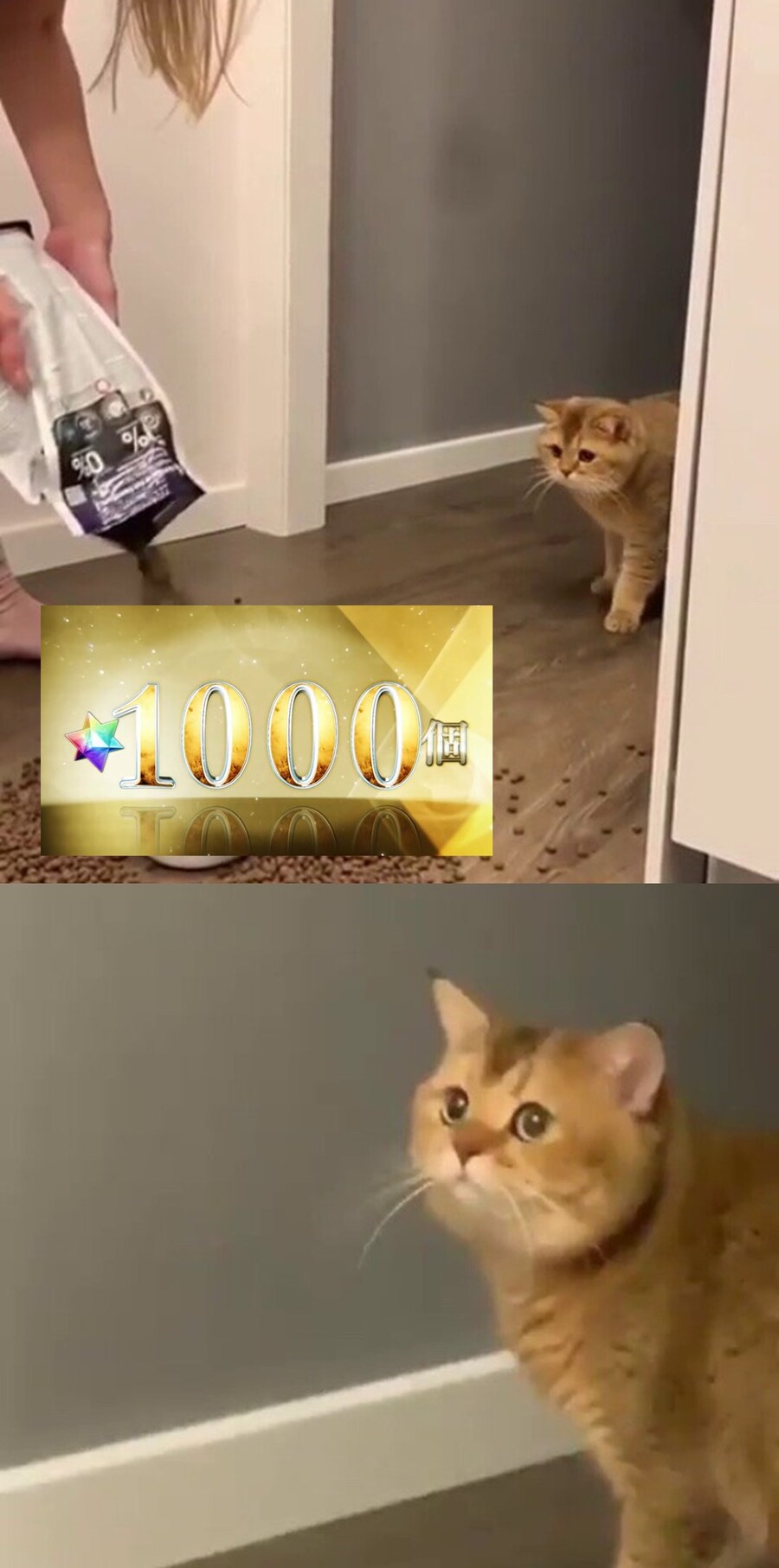 FGO) 유저들 : 아니 니들 왜그래..._1.jpg