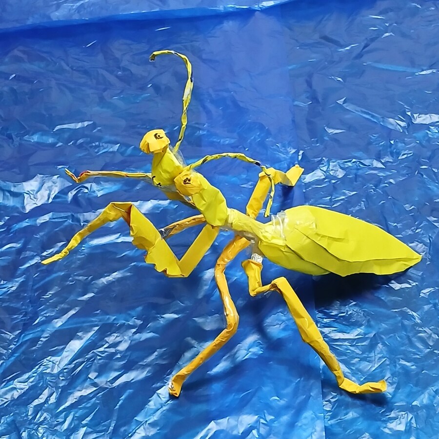 만들기) 황금 사마귀_1.jpg