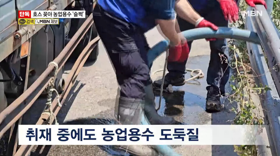 요즘 물도둑 근황_7.jpg