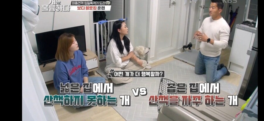 전원주택에서 개를 키우는 것에 충고하는 강형욱._57.jpg