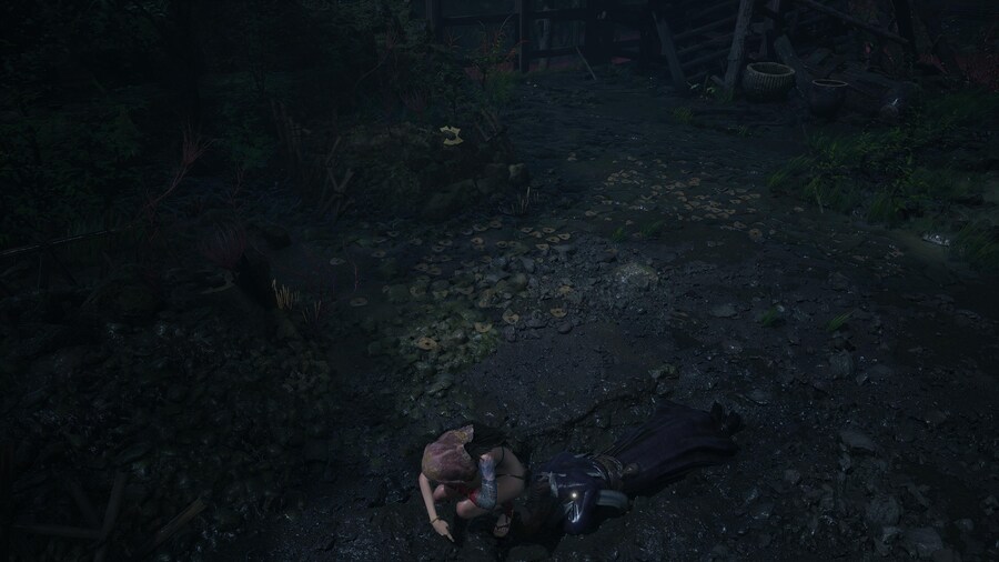 명말 공허의 깃털 - 오늘의 사진 모음_10.jpg