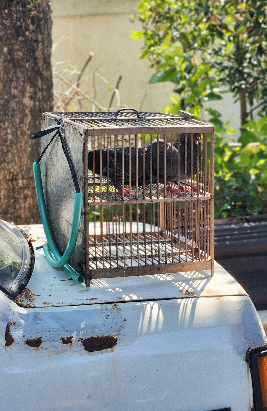[스압]인도네시아의 경주 족자카르타 여행기-1_23.jpg