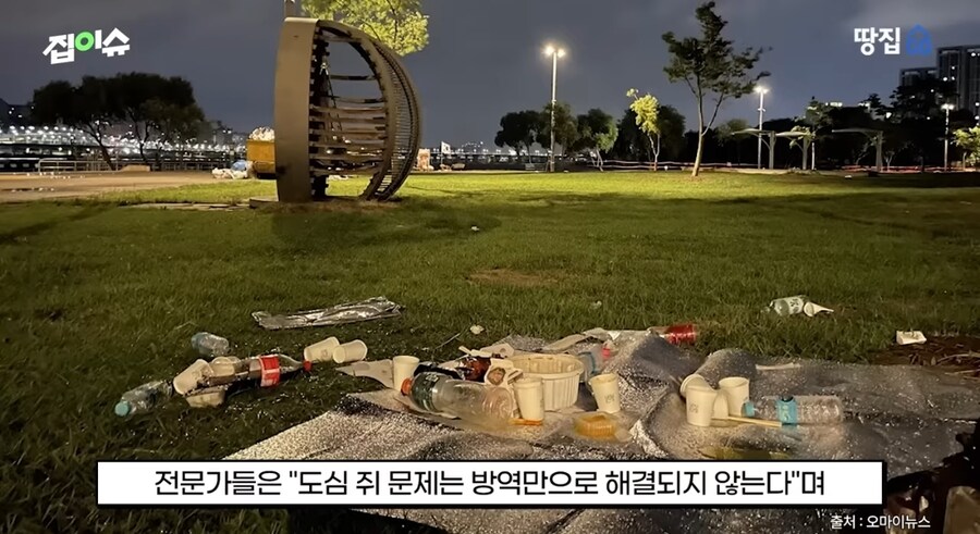 쥐 때문에 난리난 강남 아파트_6.jpg