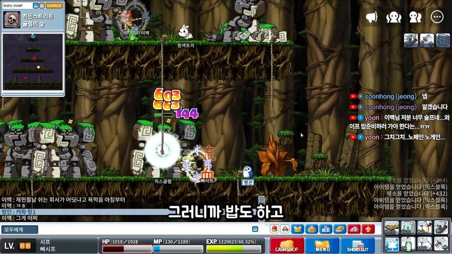 유튜브) 어떤 옛날 메이플 유튜버의 뒷광고 합리적 의심_18.png