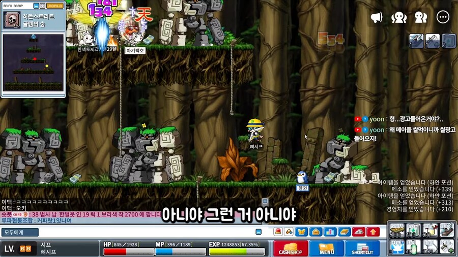 유튜브) 어떤 옛날 메이플 유튜버의 뒷광고 합리적 의심_40.png