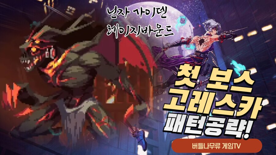 40대 아재의 닌자가이덴 레이지바운드 튜토리얼 보스(고레스카)_1.png