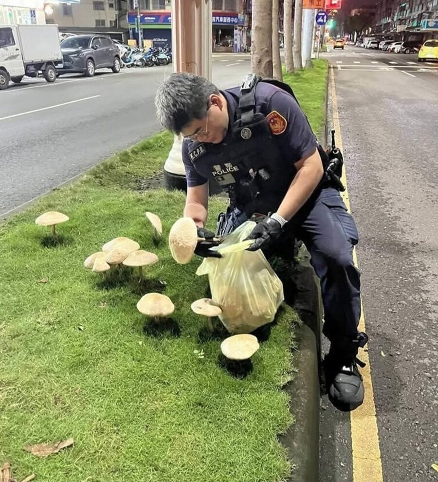 1년치 비가 한꺼번에 내렸다는 대만 근황.JPG_2.jpg