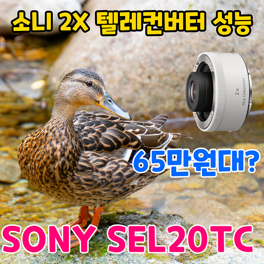 소니 2x 텔레컨버터 SEL20TC 를 장착하면 화질이 나빠질까?_1.jpg