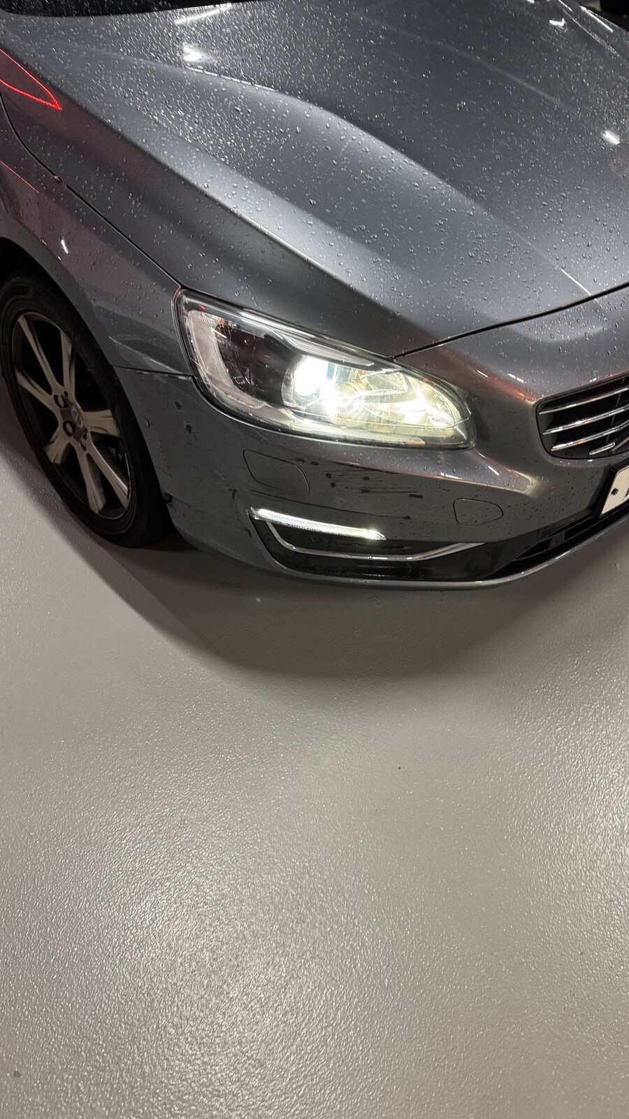 내 인생에는 없을 줄 알았던 흰색K5하허호_4.jpg