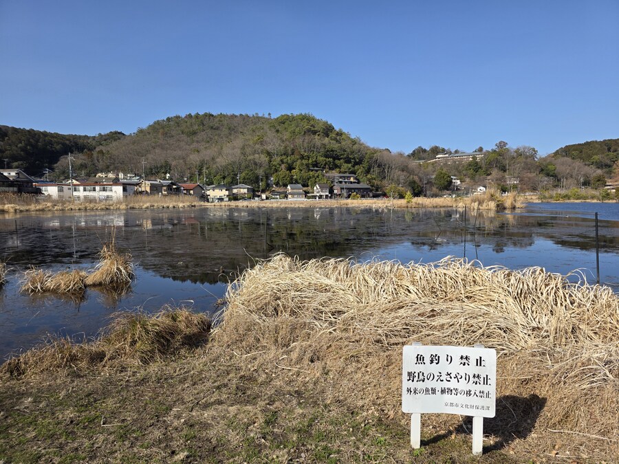 교토 갔을때 찍은 심령스팟 미도로가이케 습지_4.jpg