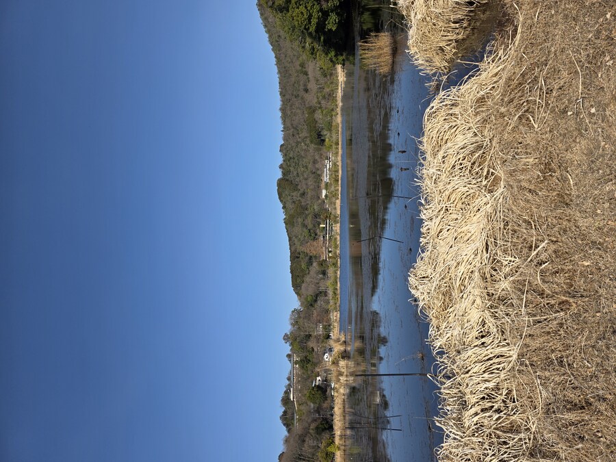 교토 갔을때 찍은 심령스팟 미도로가이케 습지_5.jpg