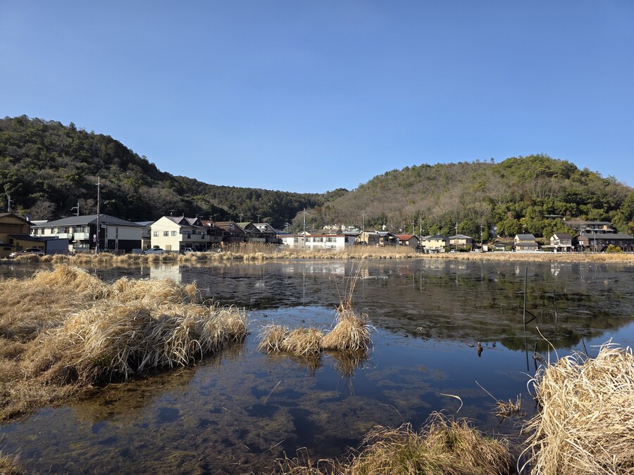 교토 갔을때 찍은 심령스팟 미도로가이케 습지_6.jpg