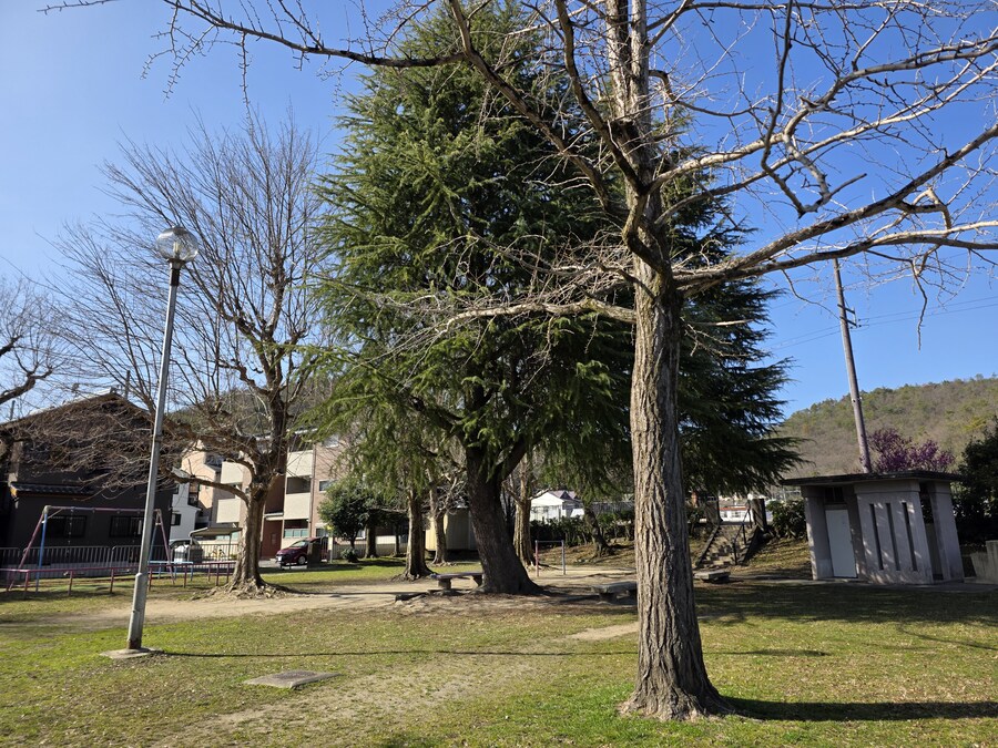 교토 갔을때 찍은 심령스팟 미도로가이케 습지_12.jpg