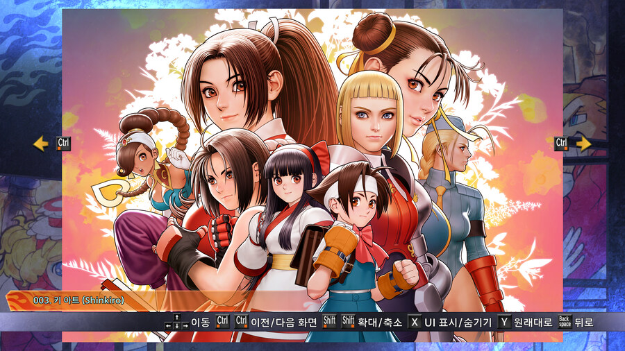 캡콤 파이팅 컬렉션 2_63.jpg