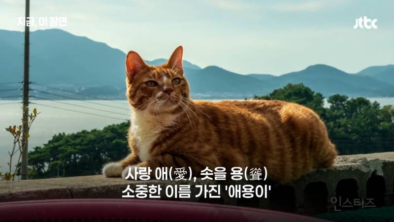 좀비딸 출연진 중 가장 NG 많이 낸 배우.JPG_2.jpg