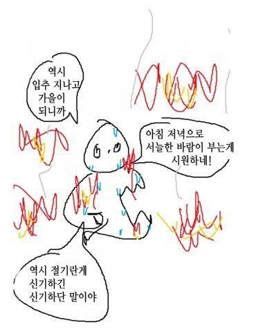 입추가 지나고 난 뒤 한국인 특징.jpg