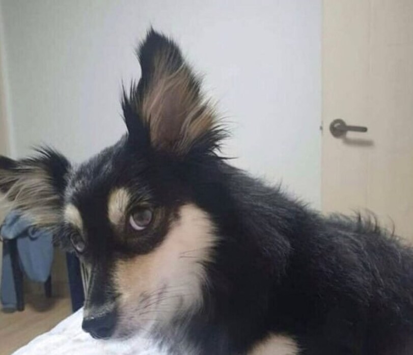 루리야! 움짤 만들어줘_1.png