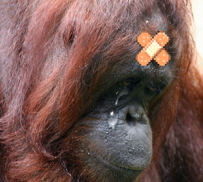 Mcu) 스포) 역시 닥터 둠은 아이언만 변종아닐까?_12.png