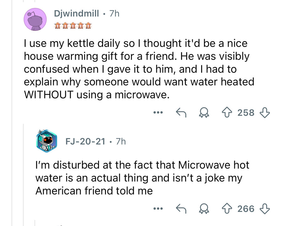 버튜버) 미국이 이상한 키아라_4.jpg