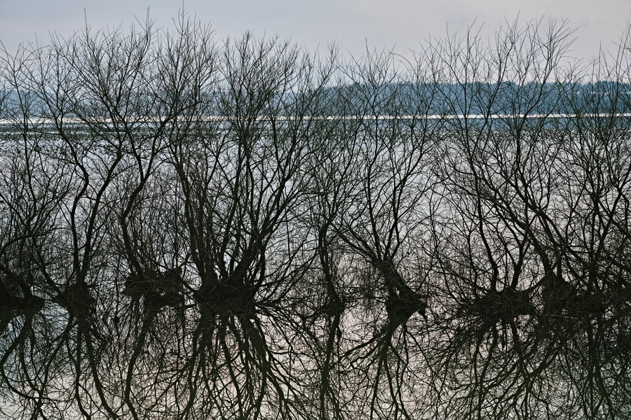 사진] 내가 찍은것들 올려봄_2.webp