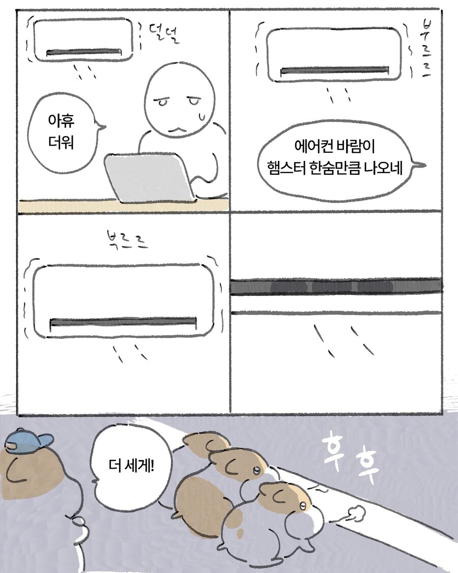 유기 햄스터 세마리_2.jpg