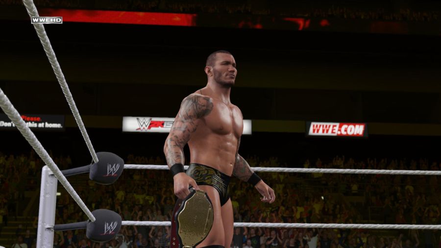 WWE 2K15_11.jpg