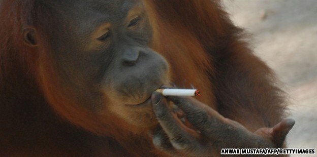 스포 ) 존 윅 [발레리나] 리뷰: 이 유니버스는 과연 어떻게 될까?_23.png