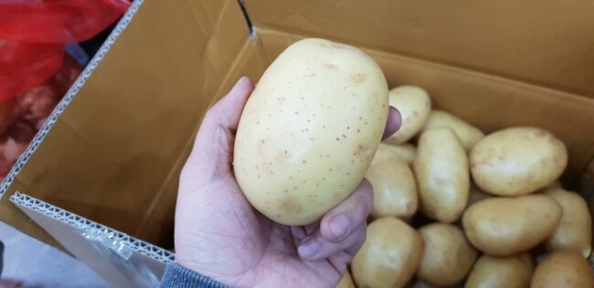 단 하루 차이 때문에 141% 관세가 적용된 호주산 감자_2.jpg
