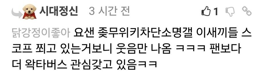 ㅇㅇㄱ) 남차소갤 애들이 ㅇㅍㄹ 보다도 ㅇㅇㄱ에 관심가진 이유